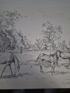 Tony Oswall Classic Black and White Horse Pasture Print - Unbranded